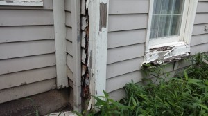 Rotted Siding, window and trim.